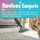 Dirtbusters Pet Pro Anti-Bac Spot Cleaning Solution (1L)