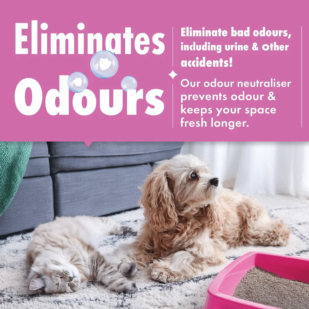 Dirtbusters Pet Pro Anti-Bac Spot Cleaning Solution (1L)