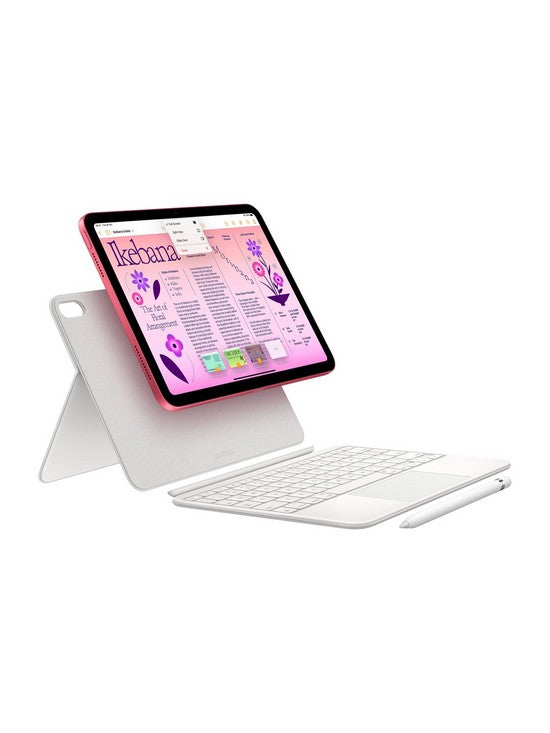 Apple iPad 10.9