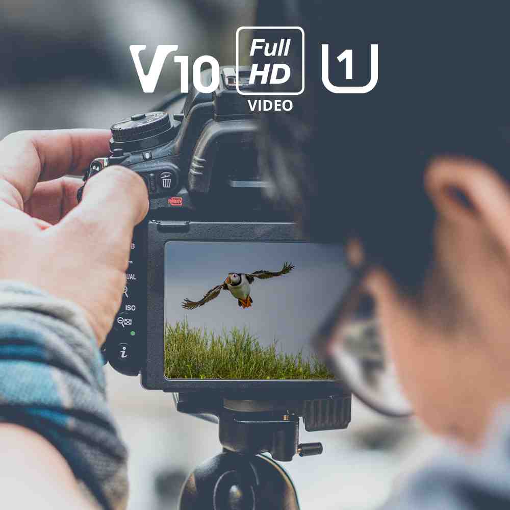 Tarjeta SD de alta velocidad Integral INSDH32G-100V10 de 32 GB SDHC/XC 100 MB/s UHS-I V10 U1