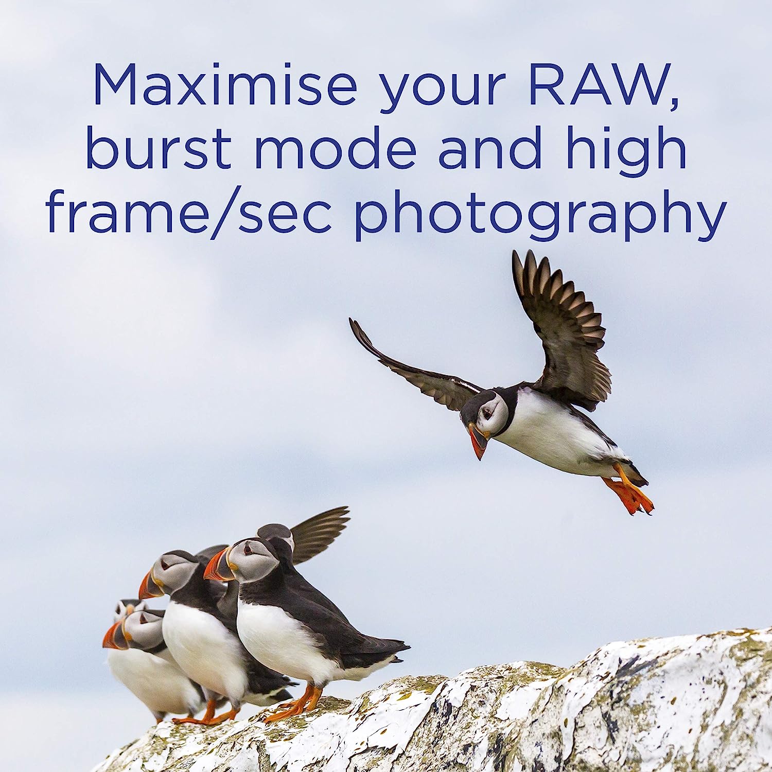 Tarjeta SD Integral ULTIMAPRO UHS-II de 128 GB V60: hasta 260 MB de velocidad de lectura y 100 MB de velocidad de escritura