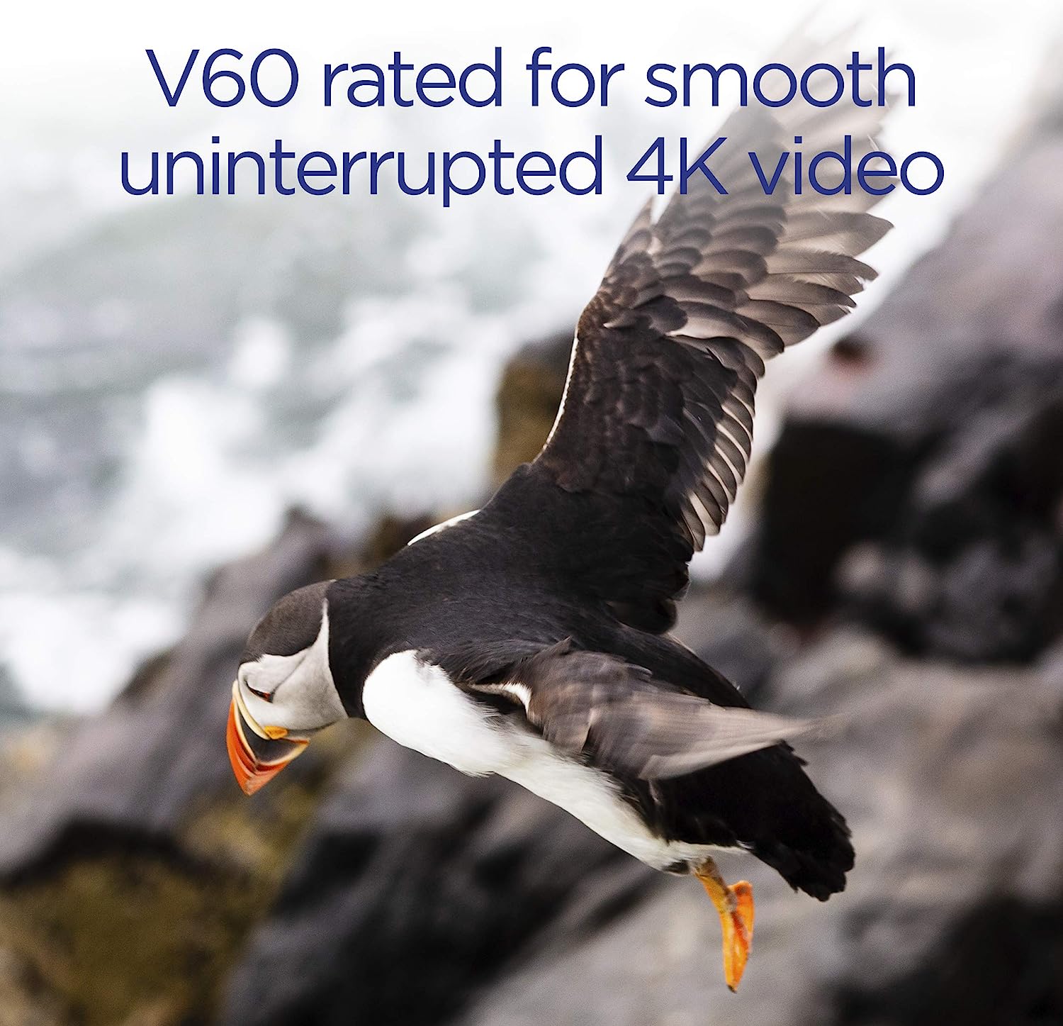 Integral ULTIMAPRO 128GB UHS-II SD Card V60 Up to 260MBs Read, 100MBs Write Speed