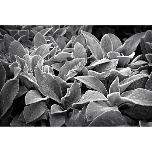 Objetivo Nikon NIKKOR Z 28 mm f/2,8 SE