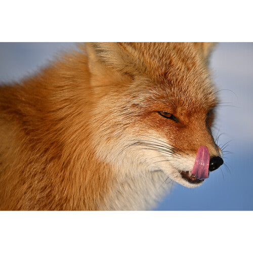 Objetivo Nikon NIKKOR Z 400 mm f/4,5 VR S 