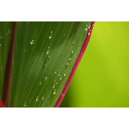 Nikon NIKKOR Z DX 18-140mm f/3.5-6.3 VR Lens