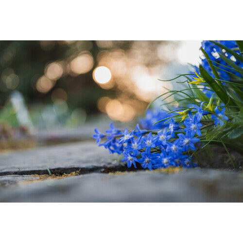 Objetivo macro Nikon NIKKOR Z MC 50 mm f/2,8 