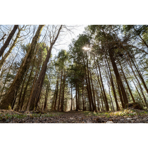 Objetivo contemporáneo Sigma 16-28 mm f/2,8 DG DN para Sony E 