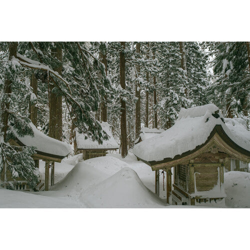 Objetivo contemporáneo Sigma 30 mm f/1,4 DC DN para FUJIFILM X 