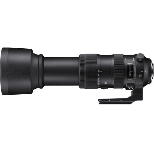 Sigma 60-600mm f/4.5-6.3 DG OS HSM Sports Lens Nikon F