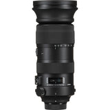 Sigma 60-600mm f/4.5-6.3 DG OS HSM Sports Lens Nikon F