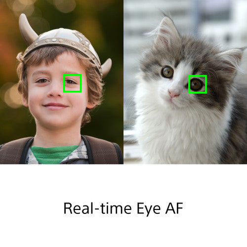 Sony DSC-RX100 Cyber-shot VII Digital Camera - DSCRX100M7