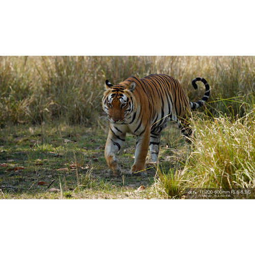 Objectif Sony FE 200-600 mm f/5.6-6.3 G OSS 