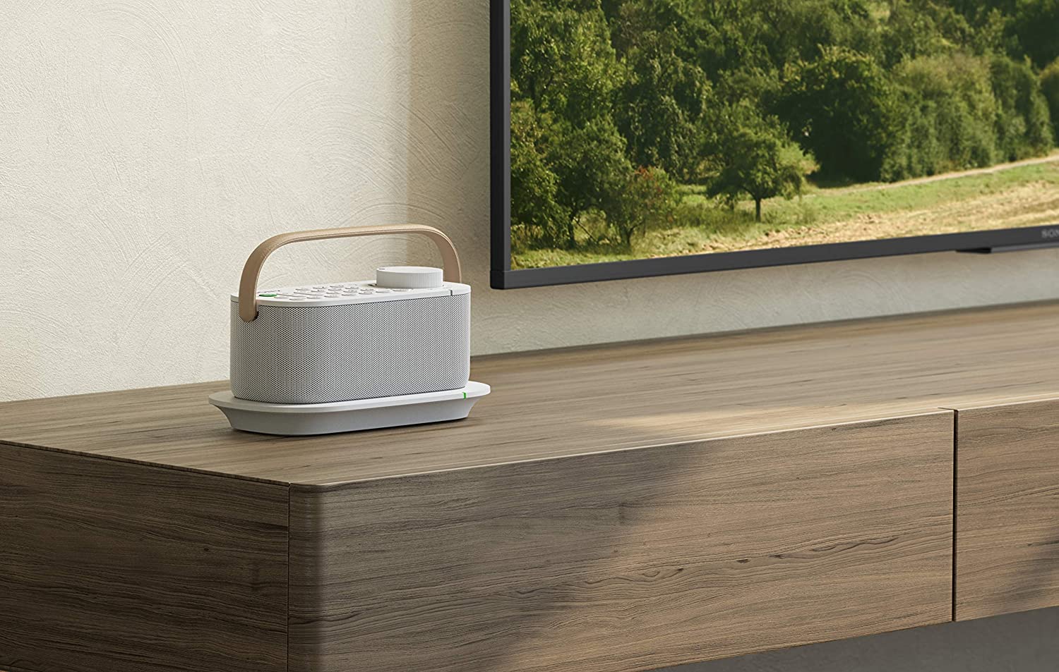 Sony Wireless Handy TV Speaker