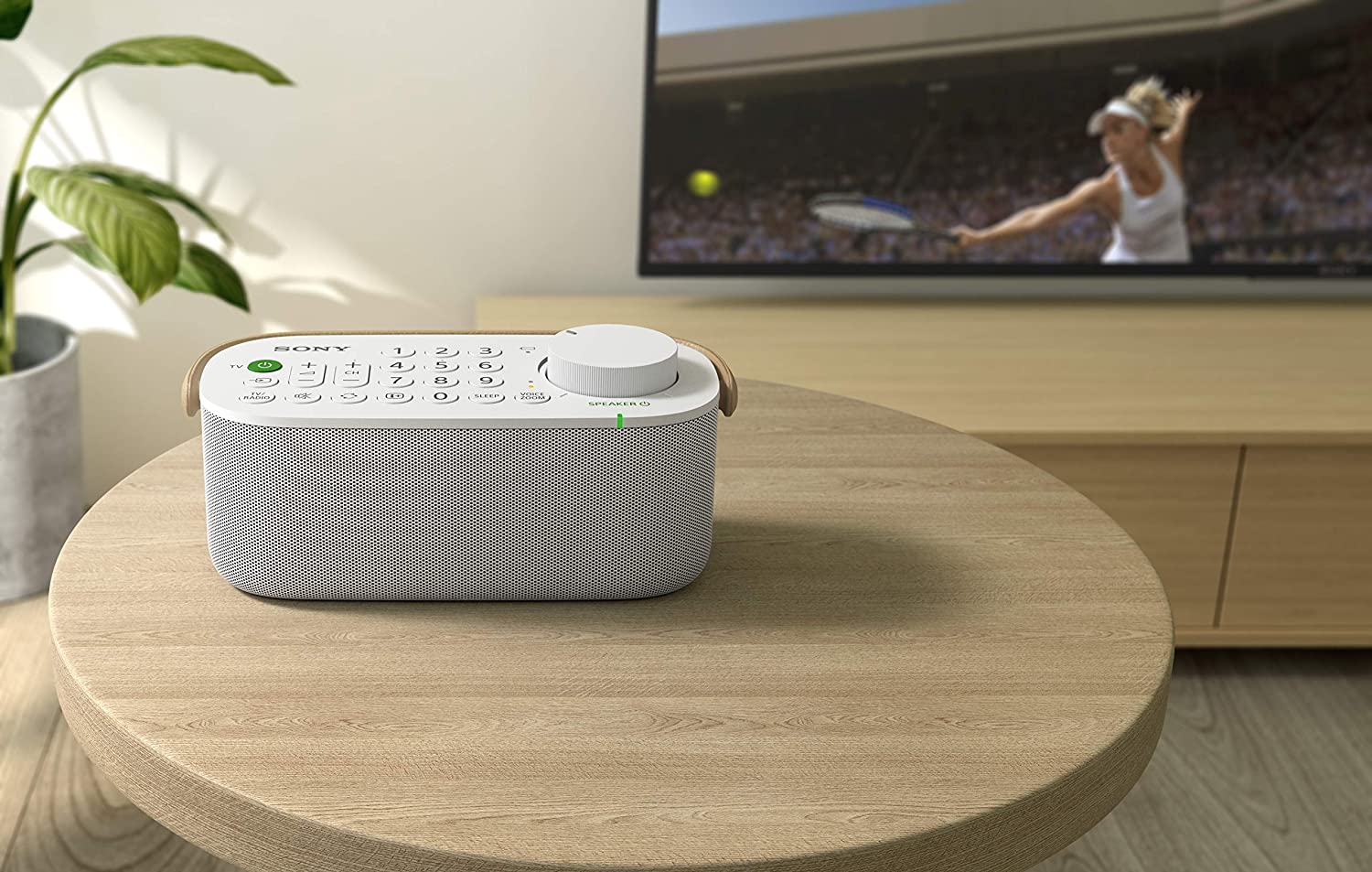 Altavoz inalámbrico Sony para TV